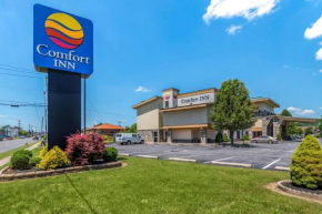 Гостиница Comfort Inn Williamsport  Уильямспорт